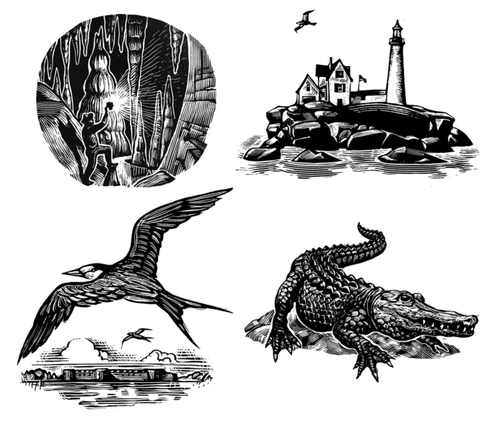 1984: National Park Spots - Sierra Club Guides